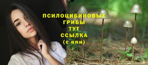 apvp Карталы