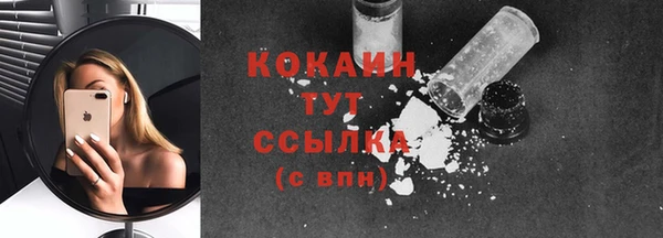 трава Карпинск